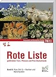 growbox pilze legal deutschland  Rote Liste gefährdeter Tiere, Pflanzen und Pilze Deutschlands - Band 6: Pilze (Teil 2) - Flechten und Myxomyzeten: Band 6 Teil 2: Pilze, Flechten und Myxomyzeten