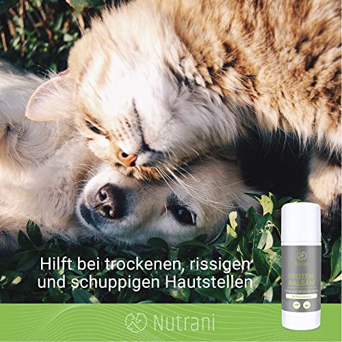 Nutrani Bienenwachs Pfotenbalsam für Hunde & Katzen von ManuCo | Pfotenschutz, 100% natürlich, Pfotenpflege, Pfotenbutter, Wundschutz, Pfotenheilmittel - 40 ml