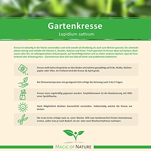 1 kg frische Kresse Samen - Gartenkresse - Microgreens für die Küche im Vorratspack - Image 4