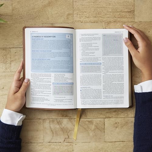 Image of Student Study Bible: A Guide to Knowing and Living God's Word (NKJV, Brown Leathersoft, Red Letter, Comfort Print)