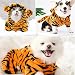 MQQYLBHDS Dog Tiger Halloween Costume Cat Hoodies with Bunny Ears and Tail Puppy Warms Hooded Coat Pet Winter Clothes for Small Medium Dogs Kitten Kitty (B, Medium)