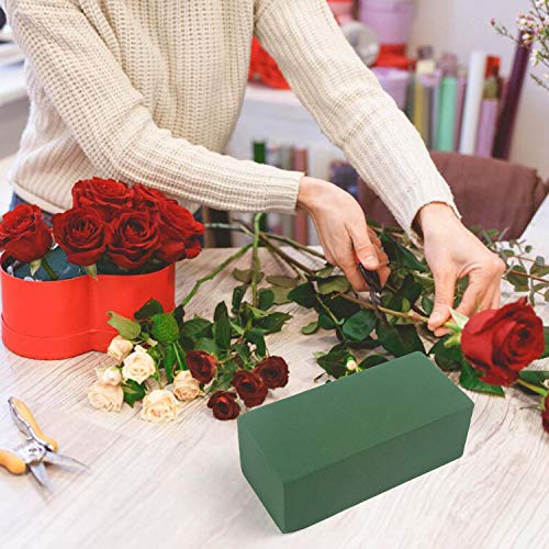 Ccinee Floral Foam Bricks,Florist Foam Green Wet Blocks Supplies For Flower Arrangement Diy Craft,Pack Of 10 #TOP4