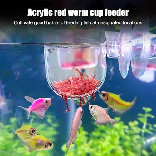 5 PCS Aquarium Plant Holder Suction Cups, Aquatic Plant Cup Pot Acrylic, Aquarium Feeding Bowl for Shrimp and Fish, Aquarium Red Worm Fish Feeder Round Bottom, 3.6 x 4 cm - Image 4