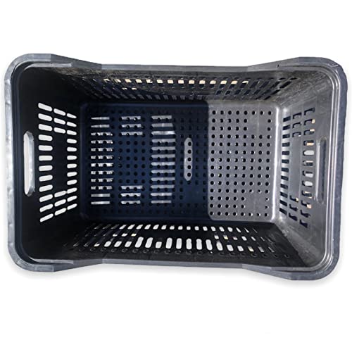 Caixa Hortifruti Plastica organizadora 55cmx36cm 45 Lts - Reforçada