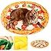 BAODEYOUB Soft Washable Simulation Pizza Pet Blanket, Warm Keeping Dog Cat Mat Pad, Berber Fleece Blanket for Pets to Sleep and Rest, Cozy and Comfortable Pet Bed with Fun Pizza Design