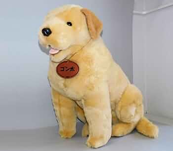 51Vd7lf2BNL._AC_UF350,