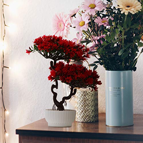 Doitool Artificial Bonsai Tree In Pot Faux Potted Pine Plants Plastic Fake House Plants Zen Desktop Greenery Decor For Indoor Home Office Decor Red #TOP6