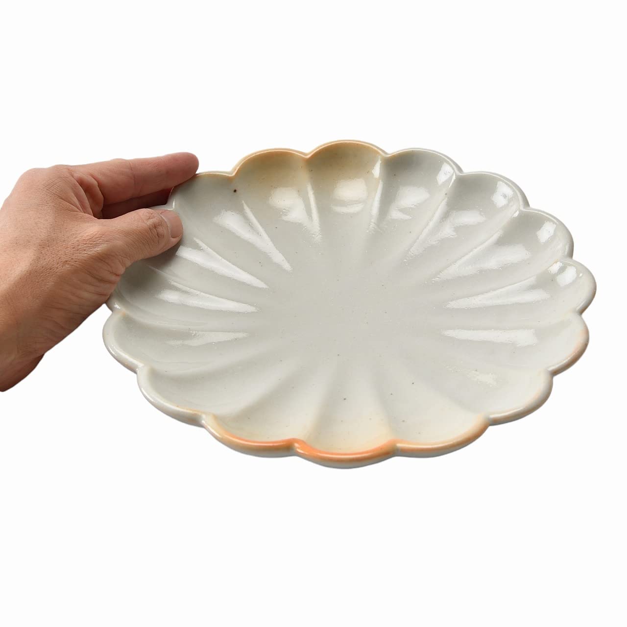 Amazon.com: セトモノホンポ(Setomonohonpo) Hiroshino Chrysanthemum