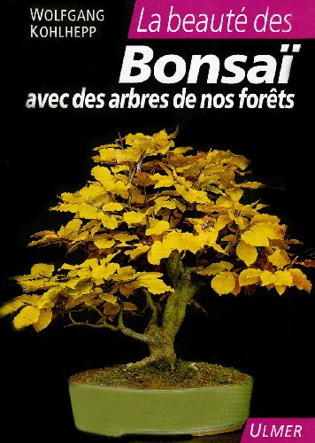 Télécharger La beauté des Bonsaï : Avec des arbres de nos forêts Francais PDF