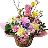 [花工房フラワーギフト] 春のアレンジメント プリマベーラ チューリップ/桜/フリージアのアレンジメント (卒業 卒園 入学 入園 花 | バレンタイン ホワイトデー 誕生日 記念日 卒業祝い ギフト プレゼント)