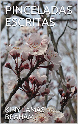 PINCELADAS ESCRITAS (Spanish Edition)