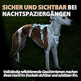 Huntboo Sicherheitsgeschirr Hund Ausbruchsicher, Panikgeschirr für Hunde, Anti Zug Hundegeschirr, Reflektierend, Verstellbare, Leichte Weste für kleine, mittelgroße und große Haustiere (Blau,M)