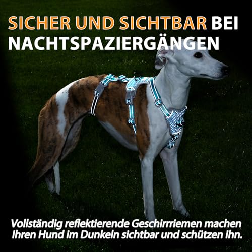 Huntboo Sicherheitsgeschirr Hund Ausbruchsicher, Panikgeschirr für Hunde, Anti Zug Hundegeschirr, Reflektierend, Verstellbare, Leichte Weste für kleine, mittelgroße und große Haustiere (Blau,M)