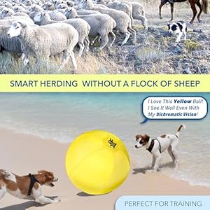 Race&Herd Herding Ball for Dogs Small & Puppies, 18″ Complete Set Dog Ball, Balls for Dogs | Dog Toys, Hearding Ball, Herding Balls for Cattle Dogs, Herding Ball for Australian Shepherd