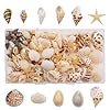 yaokan Natural Sea Shells & Starfish Set (130 PCS) - Drilled Beach Shells for DIY Crafts, Jewelry Making, Home Decor, Wedding Centerpieces & Coastal Party Supplies #4