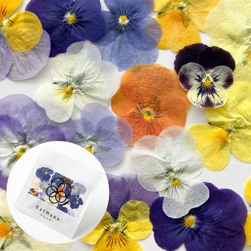 ＜室内栽培＞【ドライエディブルフラワー　ビオラMIX（20輪）】EatHanaイトハナ　食べられる花　乾燥押し花　日持ち　バレンタイン　クリスマス　手作りお菓子　トッピング　デコレ―ション　装飾　パーティー　誕生日　お祝いの商品画像（Amazon）