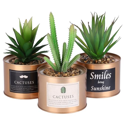 Kunstpflanzen (3 Stk) - (10 x 18 cm) Mini Plastik Sukkulenten künstlich Künstliche Kaktus Pflanzen Grün in Goldenem Metall Topf - Wohnaccessoire Deko für Wohnzimmer, Küche, Regal, Büro, Balkon