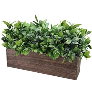Winlyn 14 artificial boxwood plants in rectangular wood planter farmhouse greenery arrangement centerpiece faux potted herb plant for wedding dining room table kitchen windowsill mantel shelf decor  urban country home decor