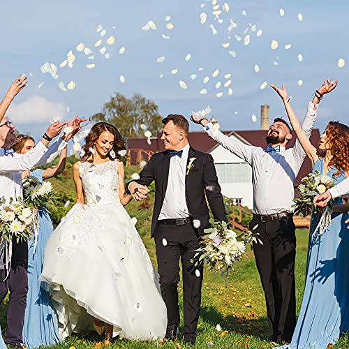 Neaticoo Artificial Ivory White Rose Petals 300Pcs Reusable Silk Rose Petals Separated Flower Petals For Wedding Flower Girl Basket Table Centerpieces Anniversary Party Dinner Table Decoration (Ivory) #TOP5