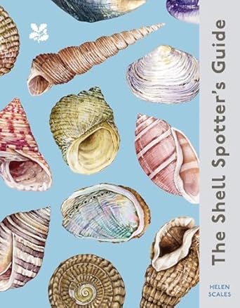 The Shell Spotter’s Guide: Every shell has a story to tell. Discover ...