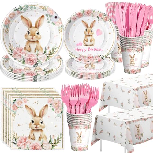 Bunny Birthday Party Decorations Some Bunny is One or Two Party Supplies Serves 24 Paper Plate Cup Napkin Tablecloth Cutlery Rabbit Birthday Decorations