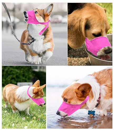 Muselière en nylon doux avec boucle réglable pour petit chien - 8