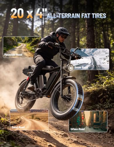 Image of Jasion RetroVolt Max Electric Bike, Dual Battery, 150-Mile Range, Fat Tire