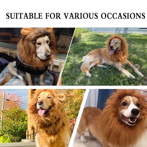 Juba de leão para cães, crina de leão para cães 2024, juba de leão para cães, fantasias para cães pe