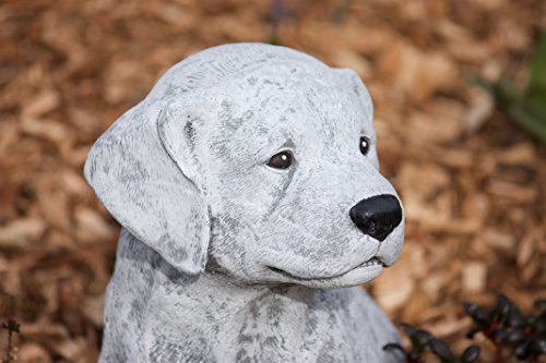 stoneandstyle Steinfigur großer Labrador Hund, Höhe ca. 36 cm, Gewicht 14,3 kg, Frost- und wetterfest bis -30°C, massiver Steinguss