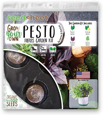 Seedsheet Grow Your Own Basil Bucket Container Garden Complete Kit