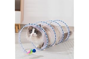 Interactive Cat Tunnel Spring Toy for Indoor Cats