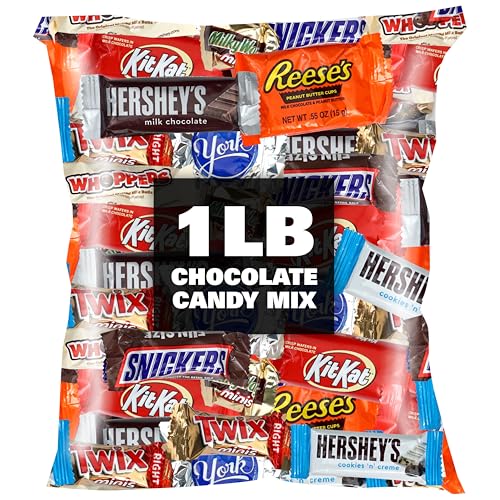 Image of Chocolate Candy Variety Pack, 1lb Bulk Chocolate Candy, Pinata Candy, Individually Wrapped Chocolate Fun Size Candy Bars