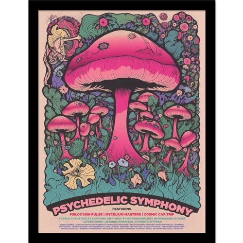 Affiche festival symphonique psychédélique Ada Ingram 30x40 cm