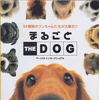 Thedog大量まとめ売り 51VdfdyZO6L._AC_UF350,
