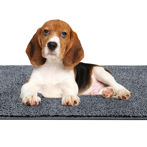 Mibao Fußmatte Innen 50 x 80 cm, Schmutzfangmatte für den Eingangsbereich, Türmatte, rutschfeste, Super Saugfähige Willkommen Matte Teppich für Haustür, Hintertür, Schuhe und Pfoten, Grau