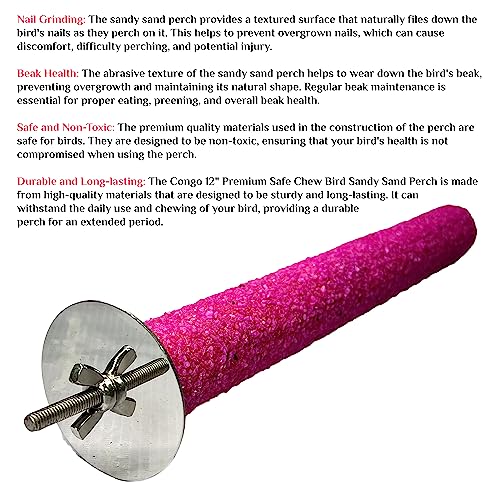 Image of Congo Premium Safe Chew Bird Sandy Sand Perch for Grinding Nail for Birds (Medium Sandy Perch 12 inch)