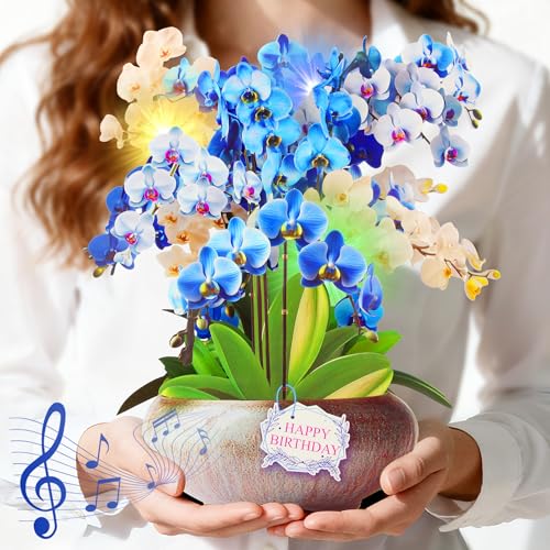 Cartes d'anniversaire avec musique grand format 12 pouces XTF2015 lumineuse LED