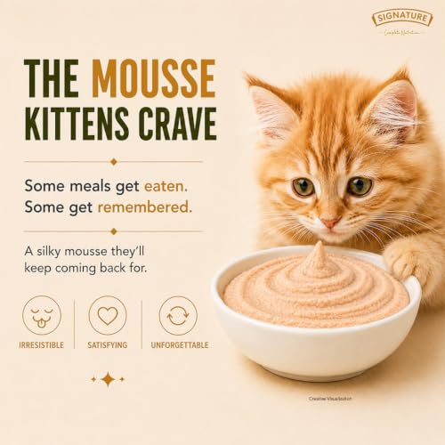 Image of Grain Zero Kitten Wet Mousse 80g Pack of 5, 400g | Chicken | Rich in Protein | Promotes Hydration & Easy to Digest | No Artificial Flavours | Packed with Essential Vitamins & Antioxidants