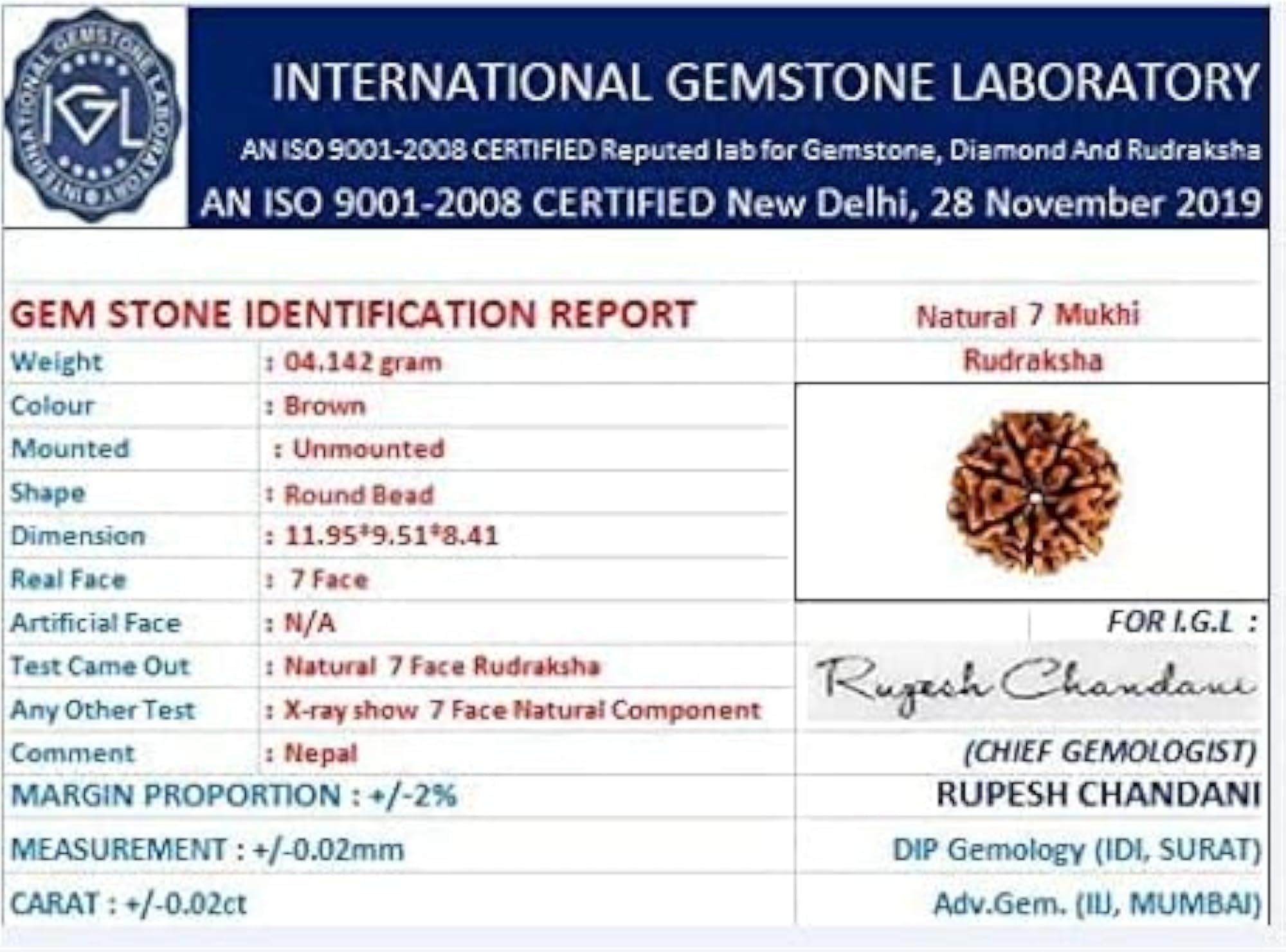 7 Mukhi Rudraksha Nepali Beads, Lab Certified