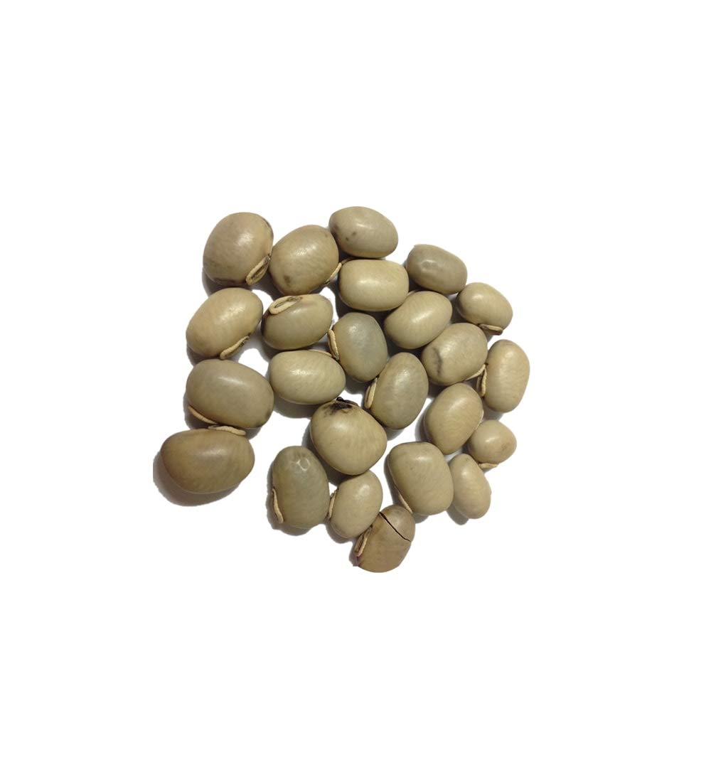 White Kapikachu (Tella Dulagondi) 100G (B07L5GP7CQ) Amazon Price History, Amazon Price Tracker