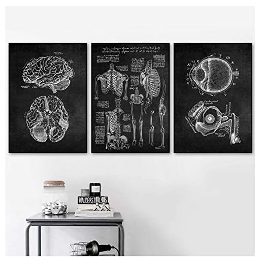 DLFALG Mänsklig anatomi konstverk medicinsk vägg bild skelett organ muskelsystem vintage affisch canvas tryck kropp utbildning målning - 40 x 50 cm x 3 oramad