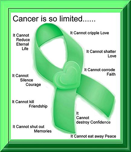 Crochet Floral Stretch Lace (Black SL-60)