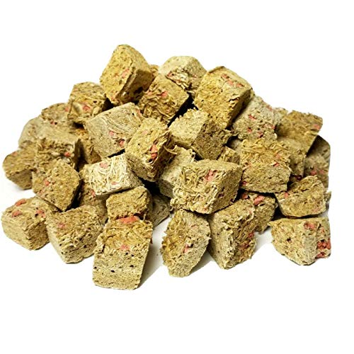 Freeze Dried Blackworms