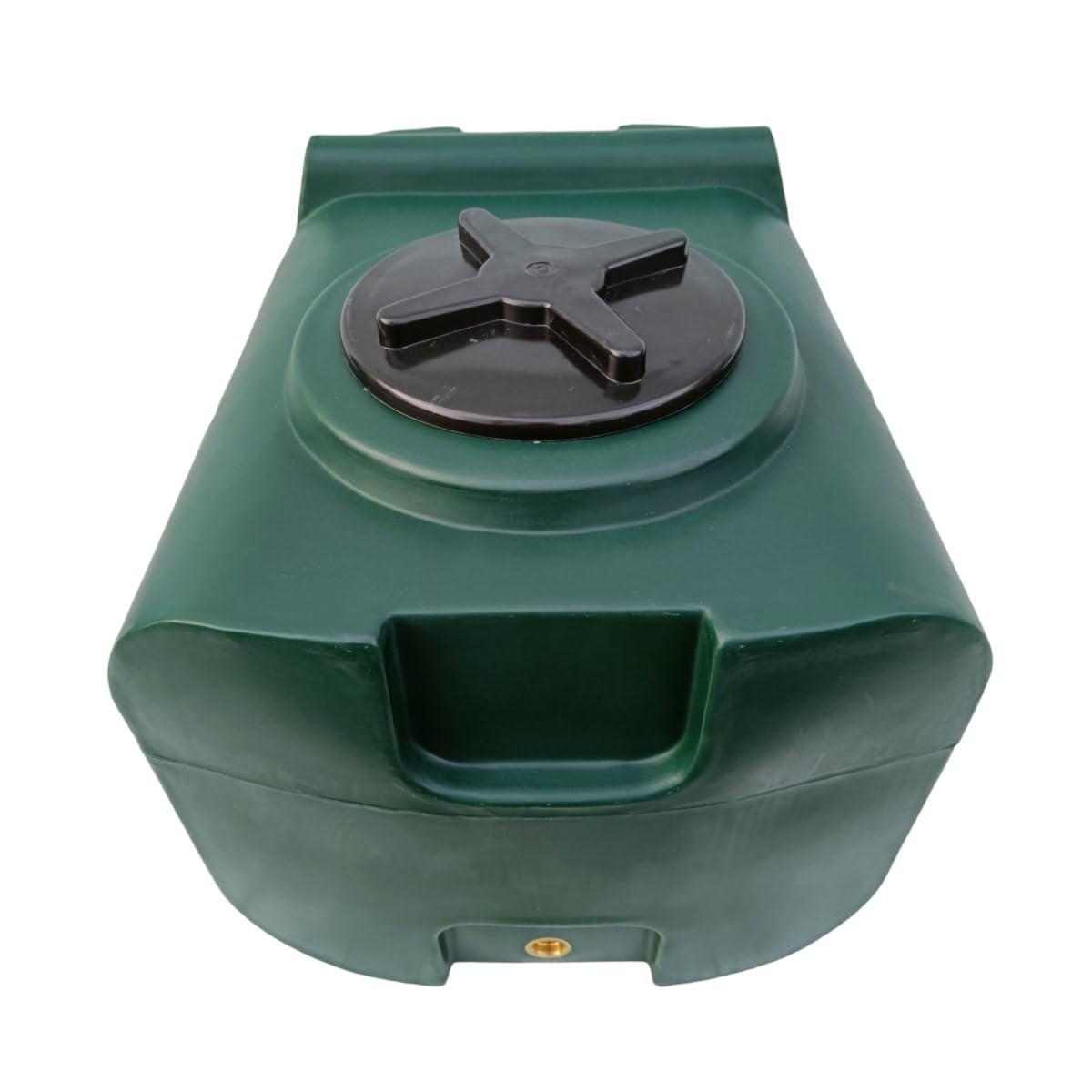 Varile Réservoir d'eau potable vert de 100 l, sans BPA, filetage en laiton 3/4" intégré, fabriqué en UE, convient à un usage alimentaire (vert)