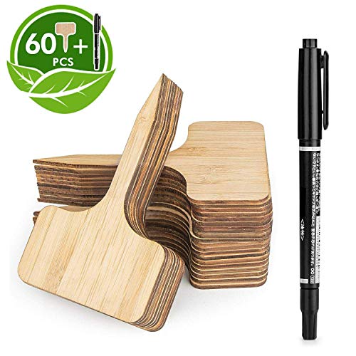HIRALIY 60 Piezas Etiquetas de Plantas de bambú (6 x 10 cm) con ...