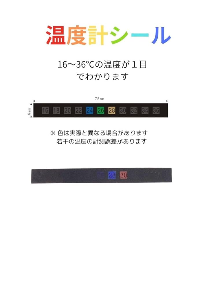 KTW ウィンチェスター ランダルカスタム 専用マウントレール 予備マガジン付き 51gZKvwfJ-L._UF1000,1000_QL80_.jpg