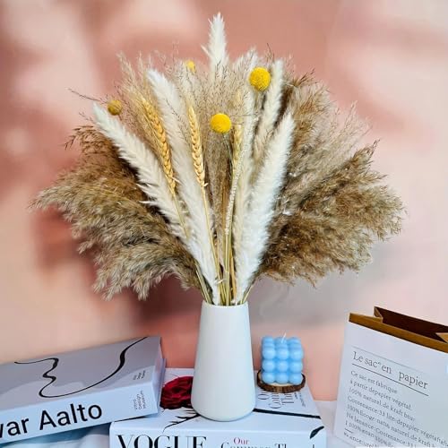 Ramo Natural Seco de Pasto Pampas Boho para Decoración miniatura 1