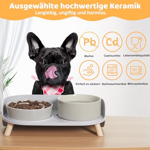 Antischlingnapf Hundnapf Erhöht Keramik Napfset - Doppel-Fressnapf für langsames Fressen - Futternapf & Wassernapf mit rutschfestem Kunststoff-Ständer - Für kleine und mittelgroße Hunde