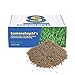 Produktbild Samenshop24® DSV 530 Schotterrasen, Parkplatzrasen, Zufahrtsrasen- Begrünung (1 kg)
