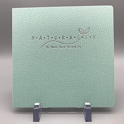 Photo Mount [Edo Kozome - Leaf Pattern] 2L Size - 2 Sides (Green) Set of 3